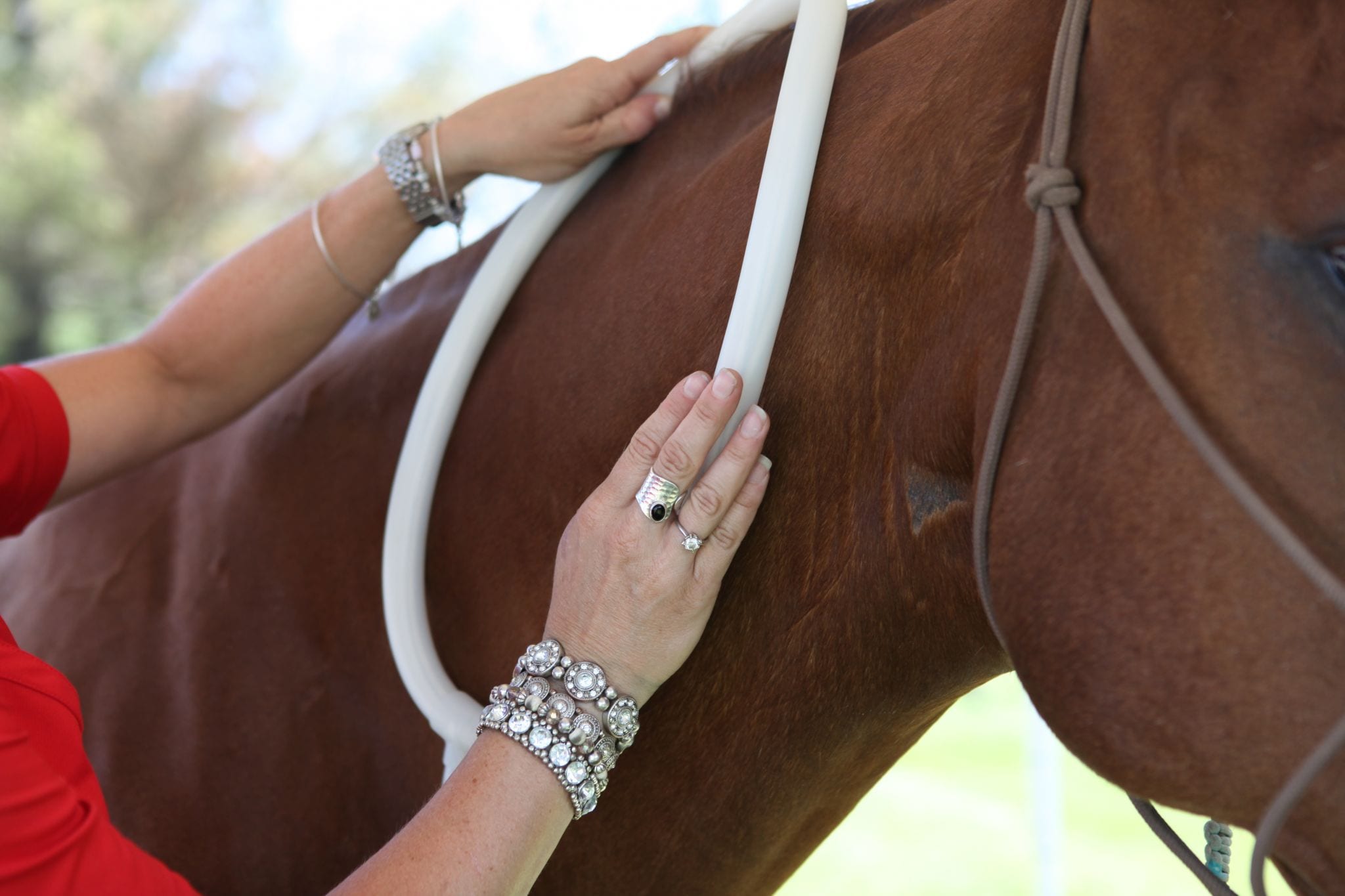 MAGNAWAVE FOR EQUINE ANHIDROSIS