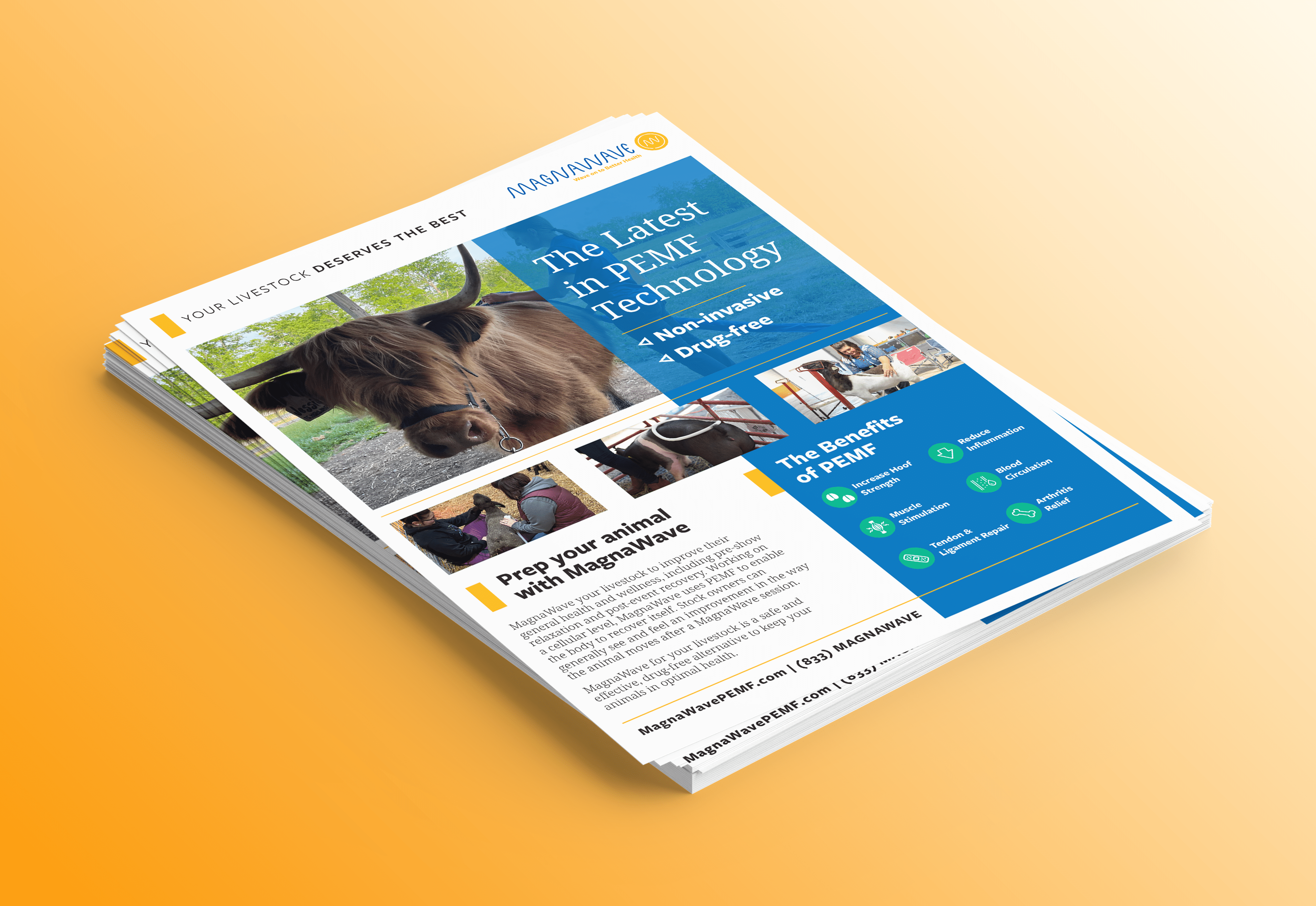 Livestock-flyer