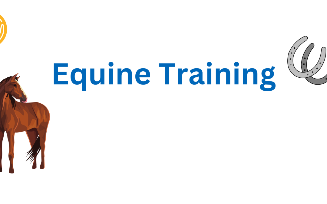 Equine Training
