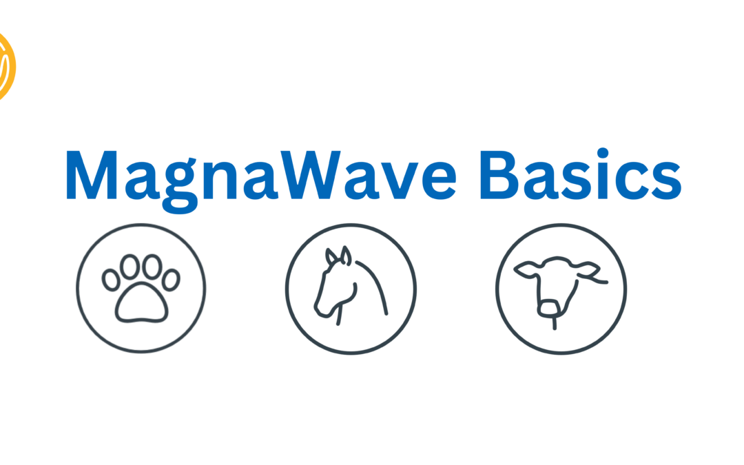 MagnaWave Basics