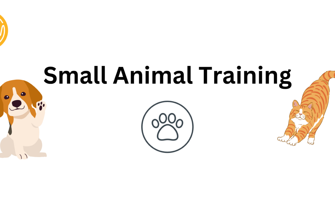 Small Animal Training