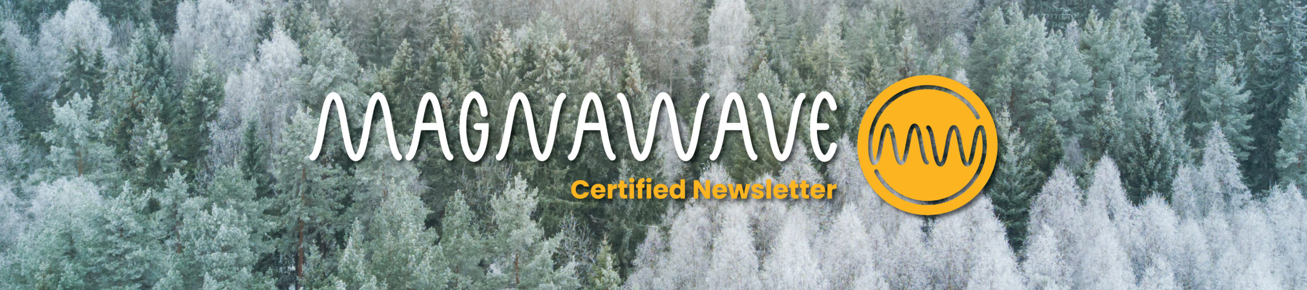EmailHeader-NewsletterJAN