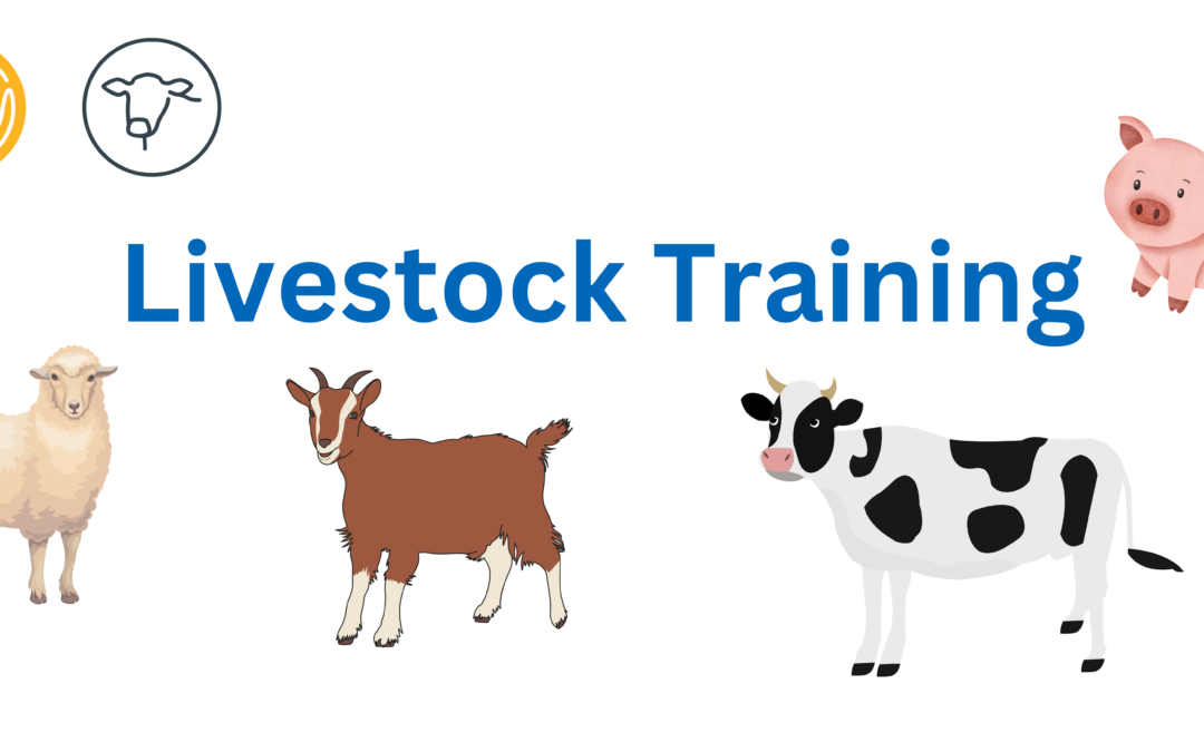 Livestock Training