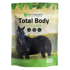 Total Body Support