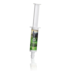 Colic Eaz
