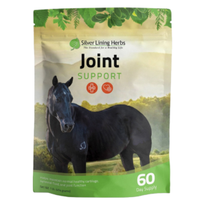 Joint Support