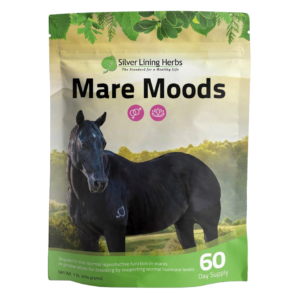 Mare Moood