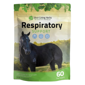 Respiratory Support