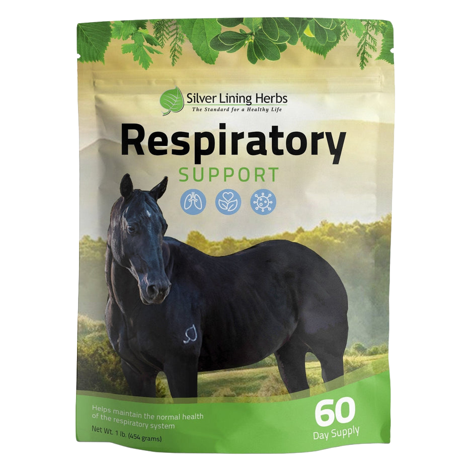 Respiratory Support